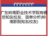 广东岭南职业技术学院有哪些知名校友，简单分析(岭南职院知名校友)