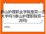 泰山护理职业学院是双一流大学吗?(泰山护理职院双一流吗)