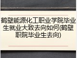 鹤壁能源化工职业学院毕业生就业大致去向如何(鹤壁职院毕业生去向)