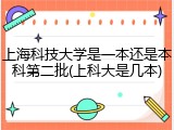 上海科技大学是一本还是本科第二批(上科大是几本)