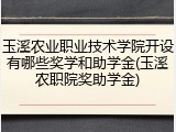 玉溪农业职业技术学院开设有哪些奖学和助学金(玉溪农职院奖助学金)