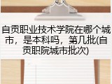 自贡职业技术学院在哪个城市，是本科吗，第几批(自贡职院城市批次)
