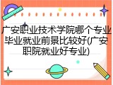 广安职业技术学院哪个专业毕业就业前景比较好(广安职院就业好专业)