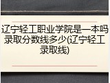 辽宁轻工职业学院是一本吗录取分数线多少(辽宁轻工录取线)