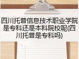 四川托普信息技术职业学院是专科还是本科院校呢(四川托普是专科吗)