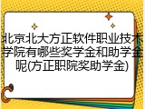 北京北大方正软件职业技术学院有哪些奖学金和助学金呢(方正职院奖助学金)