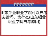 山东铝业职业学院可以自考去读吗，为什么(山东铝业职业学院自考原因)