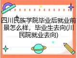 四川民族学院毕业后就业前景怎么样，毕业生去向(川民院就业去向)