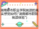 湖南都市职业学院就读的真实感觉如何("湖南都市职院就读体验")