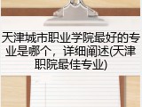 天津城市职业学院最好的专业是哪个，详细阐述(天津职院最佳专业)