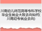 川南幼儿师范高等专科学校毕业生就业大致去向如何(川南幼专就业去向)