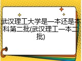 武汉理工大学是一本还是本科第二批(武汉理工一本二批)