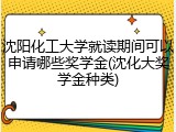 沈阳化工大学就读期间可以申请哪些奖学金(沈化大奖学金种类)