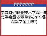 宁夏财经职业技术学院一年奖学金最多能拿多少("宁财院奖学金上限")