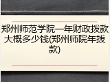 郑州师范学院一年财政拨款大概多少钱(郑州师院年拨款)