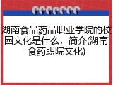 湖南食品药品职业学院的校园文化是什么，简介(湖南食药职院文化)