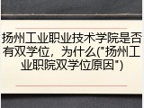 扬州工业职业技术学院是否有双学位，为什么("扬州工业职院双学位原因")