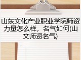 山东文化产业职业学院师资力量怎么样，名气如何(山文师资名气)