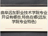 曲阜远东职业技术学院专业开设有哪些,特色在哪(远东学院专业特色)