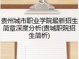 贵州城市职业学院最新招生简章深度分析(贵城职院招生简析)