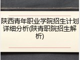 陕西青年职业学院招生计划详细分析(陕青职院招生解析)