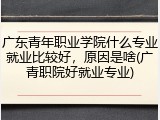 广东青年职业学院什么专业就业比较好，原因是啥(广青职院好就业专业)