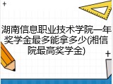 湖南信息职业技术学院一年奖学金最多能拿多少(湘信院最高奖学金)