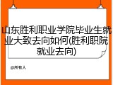 山东胜利职业学院毕业生就业大致去向如何(胜利职院就业去向)