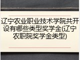 辽宁农业职业技术学院共开设有哪些类型奖学金(辽宁农职院奖学金类型)