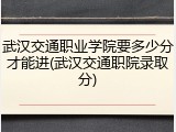 武汉交通职业学院要多少分才能进(武汉交通职院录取分)