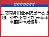 云南商务职业学院是什么级别，公办还是民办(云南商务职院性质级别)