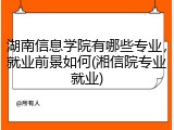 湖南信息学院有哪些专业，就业前景如何(湘信院专业就业)