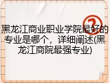 黑龙江商业职业学院最好的专业是哪个，详细阐述(黑龙江商院最强专业)