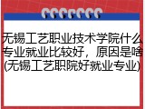 无锡工艺职业技术学院什么专业就业比较好，原因是啥(无锡工艺职院好就业专业)
