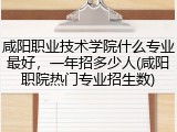 咸阳职业技术学院什么专业最好，一年招多少人(咸阳职院热门专业招生数)