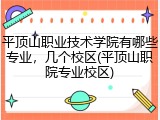 平顶山职业技术学院有哪些专业，几个校区(平顶山职院专业校区)