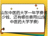 山东中医药大学一年学费多少钱，还有哪些费用(山东中医药大学学费)