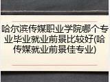哈尔滨传媒职业学院哪个专业毕业就业前景比较好(哈传媒就业前景佳专业)