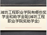 潍坊工程职业学院有哪些奖学金和助学金呢(潍坊工程职业学院奖助学金)