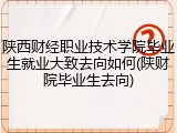 陕西财经职业技术学院毕业生就业大致去向如何(陕财院毕业生去向)