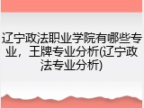 辽宁政法职业学院有哪些专业，王牌专业分析(辽宁政法专业分析)