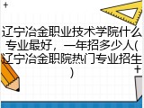 辽宁冶金职业技术学院什么专业最好，一年招多少人(辽宁冶金职院热门专业招生)