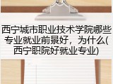西宁城市职业技术学院哪些专业就业前景好，为什么(西宁职院好就业专业)