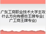 广东工商职业技术大学主攻什么方向有哪些王牌专业(广工商王牌专业)