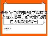 贵州铜仁数据职业学院有没有就业指导，好就业吗(铜仁职院就业指导)