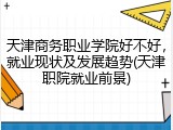 天津商务职业学院好不好，就业现状及发展趋势(天津职院就业前景)