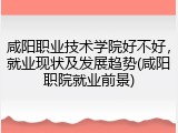 咸阳职业技术学院好不好，就业现状及发展趋势(咸阳职院就业前景)