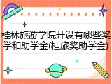 桂林旅游学院开设有哪些奖学和助学金(桂旅奖助学金)