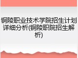 铜陵职业技术学院招生计划详细分析(铜陵职院招生解析)