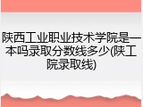 陕西工业职业技术学院是一本吗录取分数线多少(陕工院录取线)